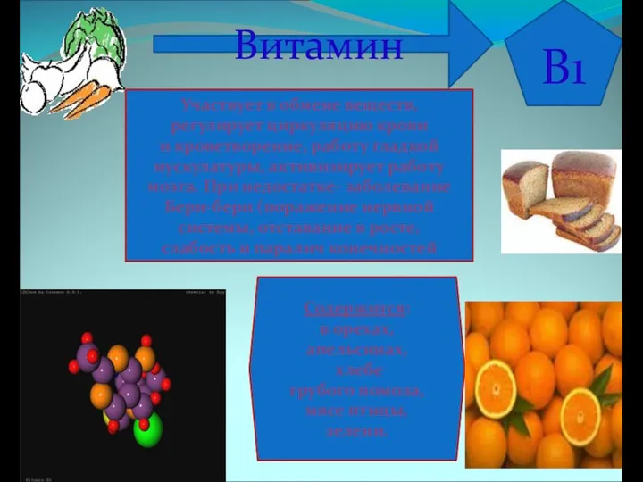 B1 Витамин Участвует в обмене веществ, регулирует циркуляцию крови и