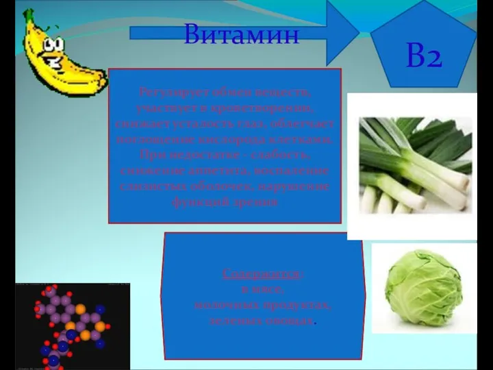 B2 Содержится: в мясе, молочных продуктах, зеленых овощах. Регулирует обмен