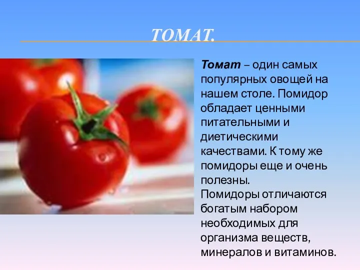 Томат. Томат – один самых популярных овощей на нашем столе. Помидор обладает ценными