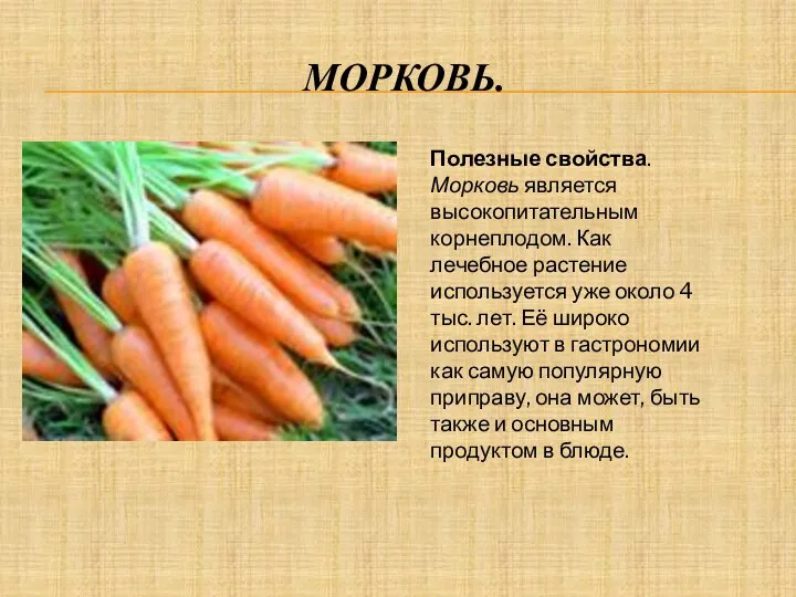 Морковь. Полезные свойства. Морковь является высокопитательным корнеплодом. Как лечебное растение используется уже около