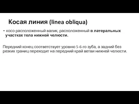 Косая линия (linea obliqua) косо расположенный валик, расположенный в латеральных