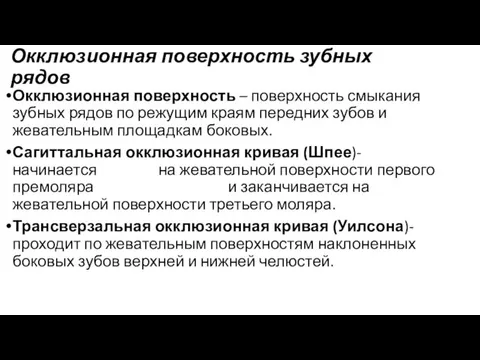 Окклюзионная поверхность зубных рядов Окклюзионная поверхность – поверхность смыкания зубных