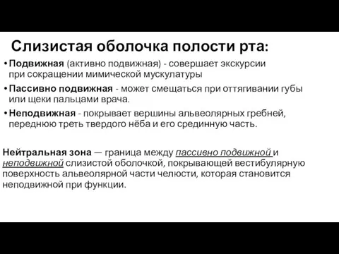 Слизистая оболочка полости рта: Подвижная (активно подвижная) - совершает экскурсии