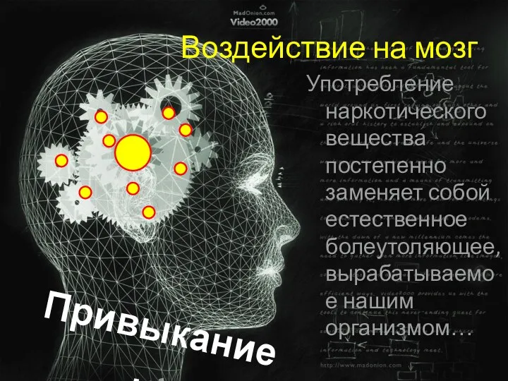 Употребление наркотического вещества постепенно заменяет собой естественное болеутоляющее, вырабатываемое нашим организмом… Воздействие на мозг Привыкание…