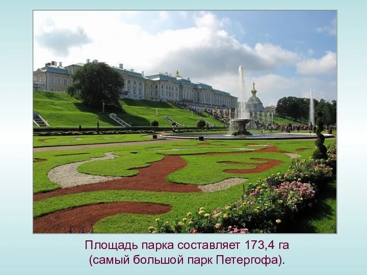 Площадь парка составляет 173,4 га (самый большой парк Петергофа).