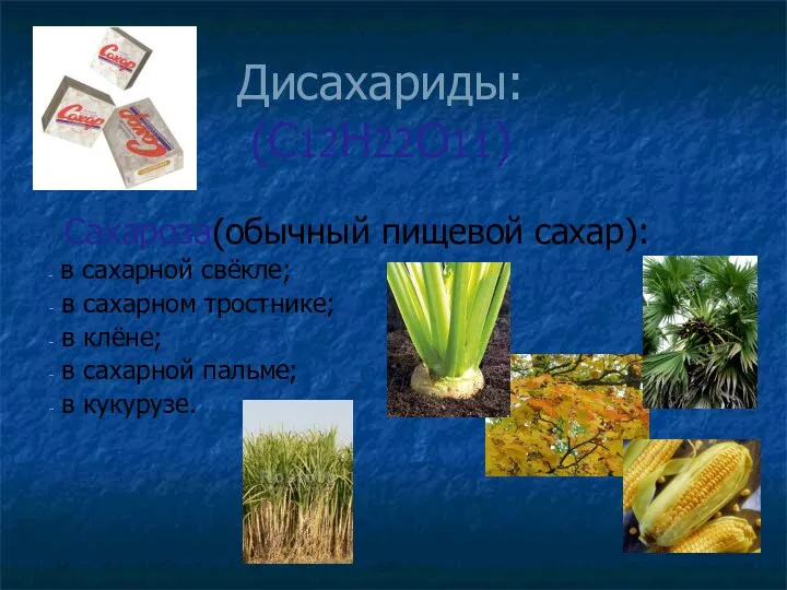 Дисахариды: (С12Н22О11) Сахароза(обычный пищевой сахар): в сахарной свёкле; в сахарном тростнике; в клёне;