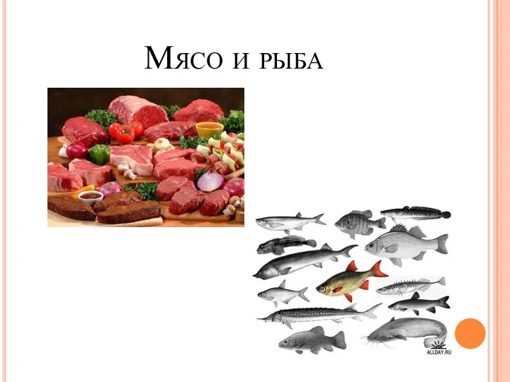 Мясо и рыба