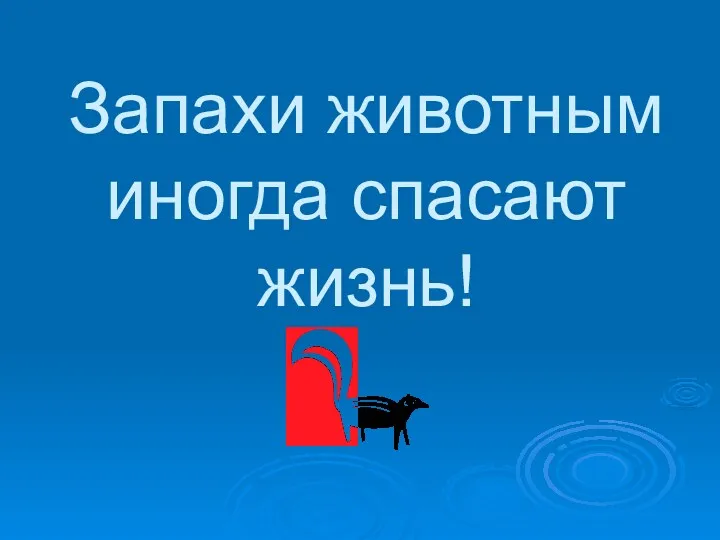 Запахи животным иногда спасают жизнь!