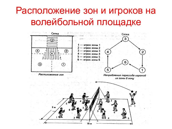 Расположение зон и игроков на волейбольной площадке