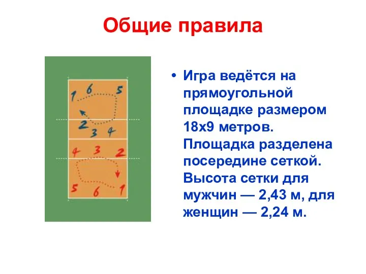 Общие правила Игра ведётся на прямоугольной площадке размером 18х9 метров.