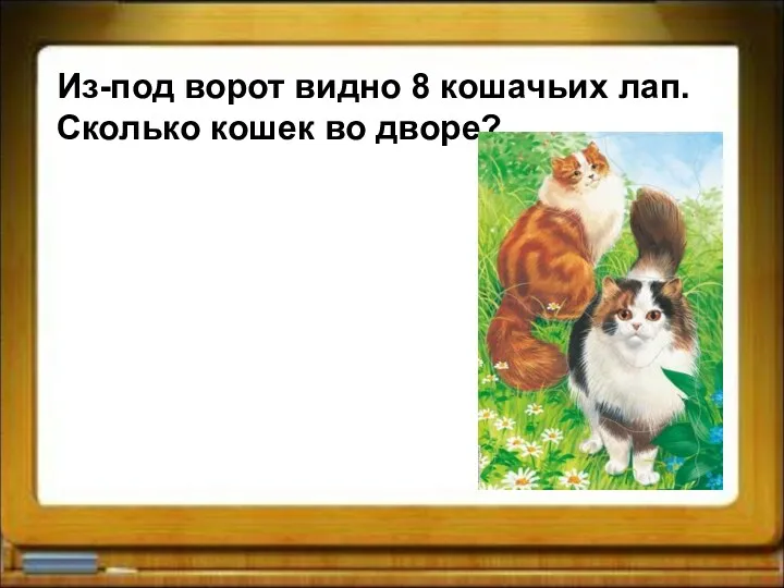 Из-под ворот видно 8 кошачьих лап. Сколько кошек во дворе?