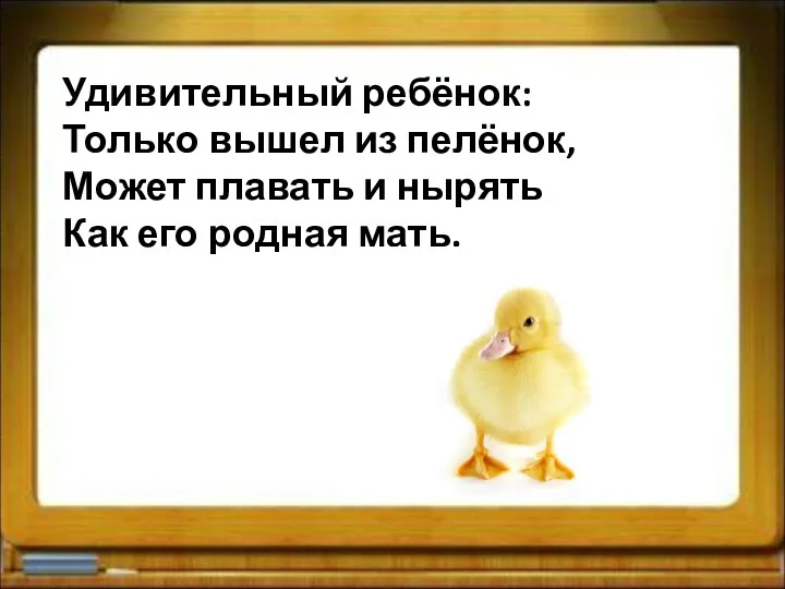 Удивительный ребёнок: Только вышел из пелёнок, Может плавать и нырять Как его родная мать.