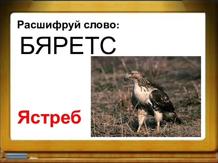 Расшифруй слово: БЯРЕТС Ястреб