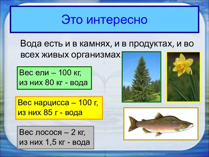 Это интересно Вода есть и в камнях, и в продуктах,