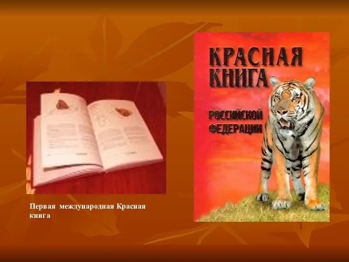 Первая международная Красная книга