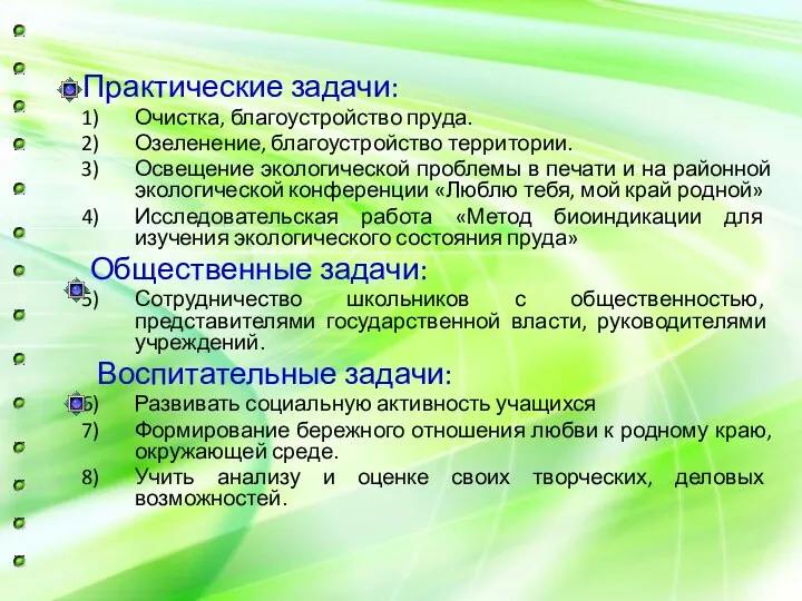 Практические задачи: Очистка, благоустройство пруда. Озеленение, благоустройство территории. Освещение экологической