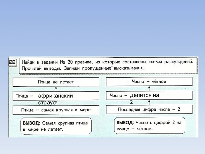 африканский страус делится на 2