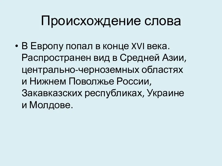 Происхождение слова В Европу попал в конце XVI века. Распространен вид в Средней