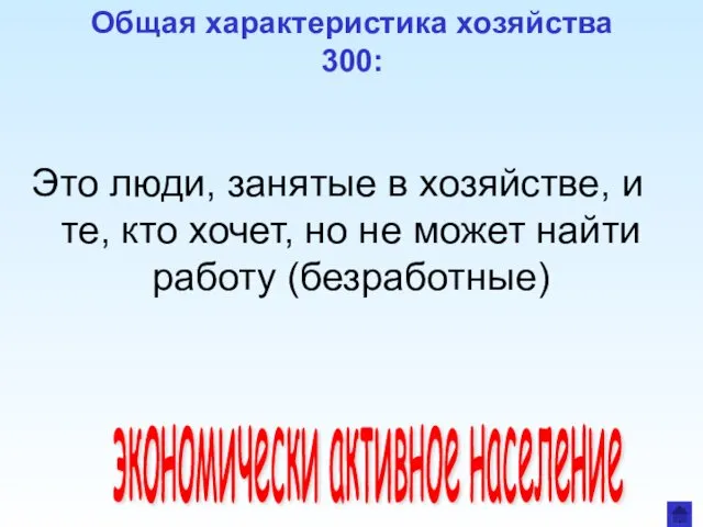 Общая характеристика хозяйства 300: Это люди, занятые в хозяйстве, и