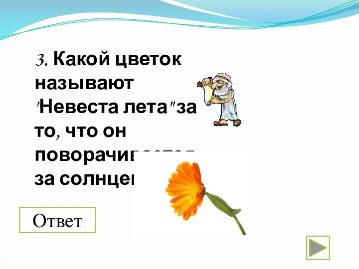 3. Какой цветок называют "Невеста лета" за то, что он поворачивается за солнцем? Ответ