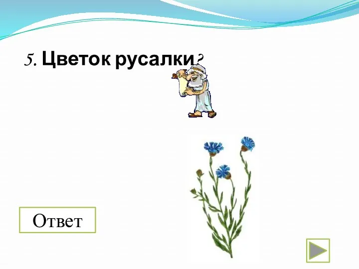 5. Цветок русалки? Ответ