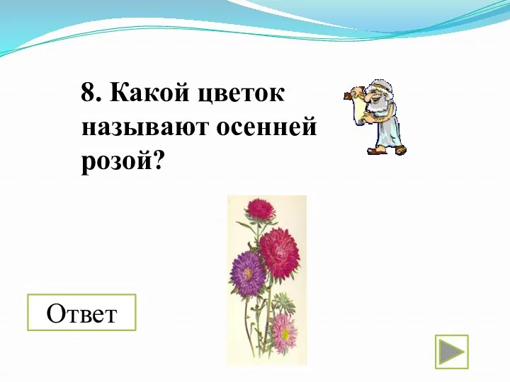 8. Какой цветок называют осенней розой? Ответ