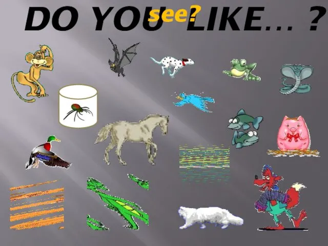 DO YOU LIKE… ? What animals can you see?