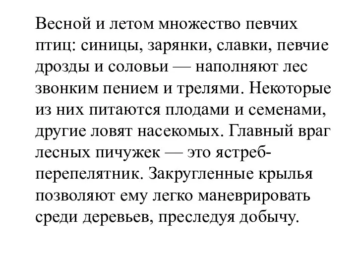 Весной и летом множество певчих птиц: синицы, зарянки, славки, певчие