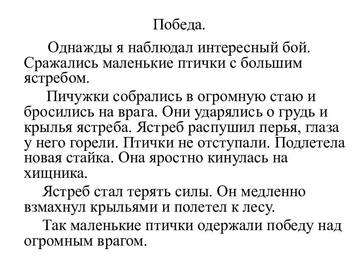 Победа. Однажды я наблюдал интересный бой. Сражались маленькие птички с