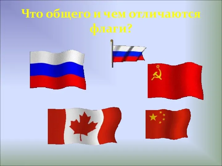 Что общего и чем отличаются флаги?