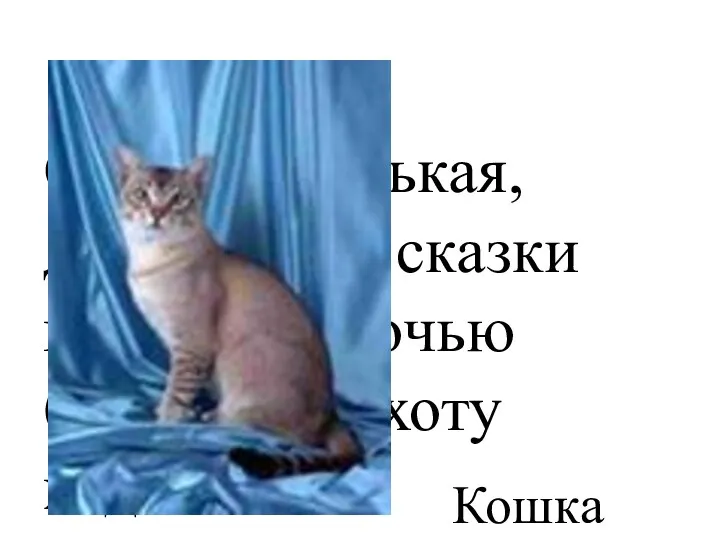 Сама усатенькая, днем спит и сказки говорит, а ночью бродит, на охоту ходит. Кошка