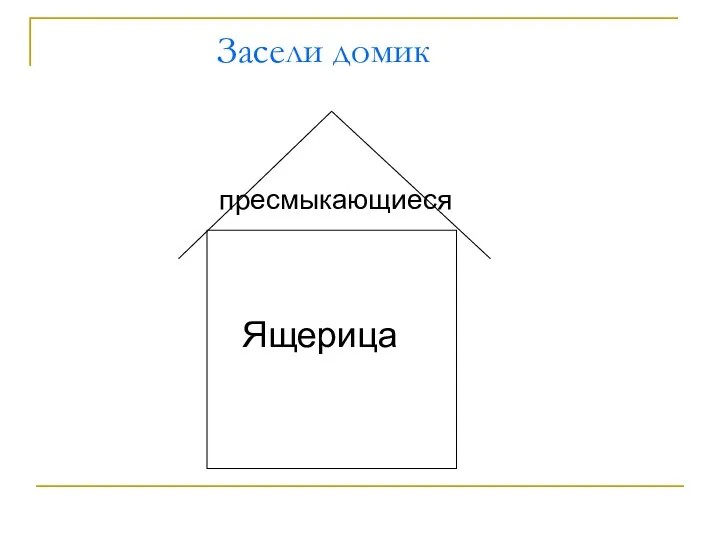 Засели домик пресмыкающиеся Ящерица