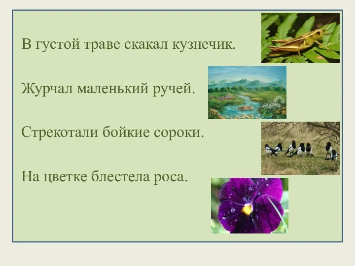 В густой траве скакал кузнечик. Журчал маленький ручей. Стрекотали бойкие сороки. На цветке блестела роса.