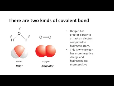 There are two kinds of covalent bond Oxygen has greater