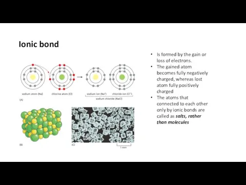 Ionic bond Is formed by the gain or loss of