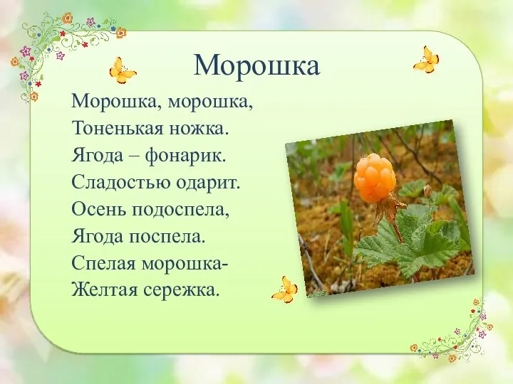 Морошка, морошка, Тоненькая ножка. Ягода – фонарик. Сладостью одарит. Осень