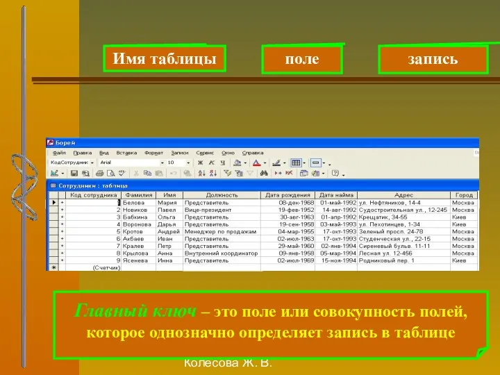 Колесова Ж. В. Имя таблицы поле запись Главный ключ – это поле или