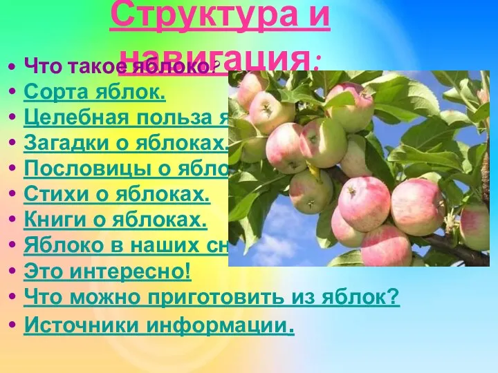 Структура и навигация: Что такое яблоко? Сорта яблок. Целебная польза яблок. Загадки о