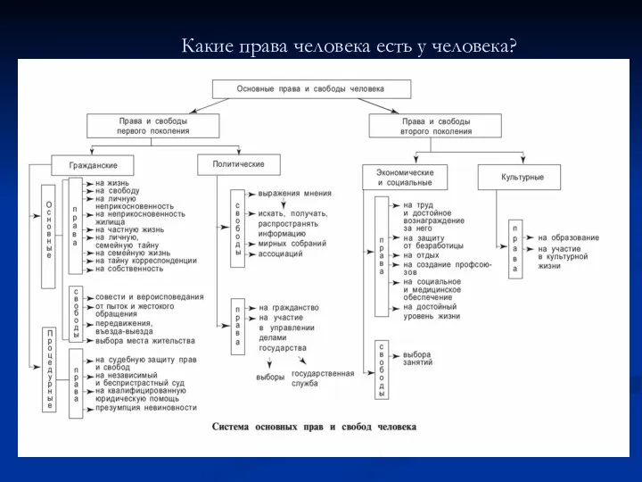 Какие права человека есть у человека?