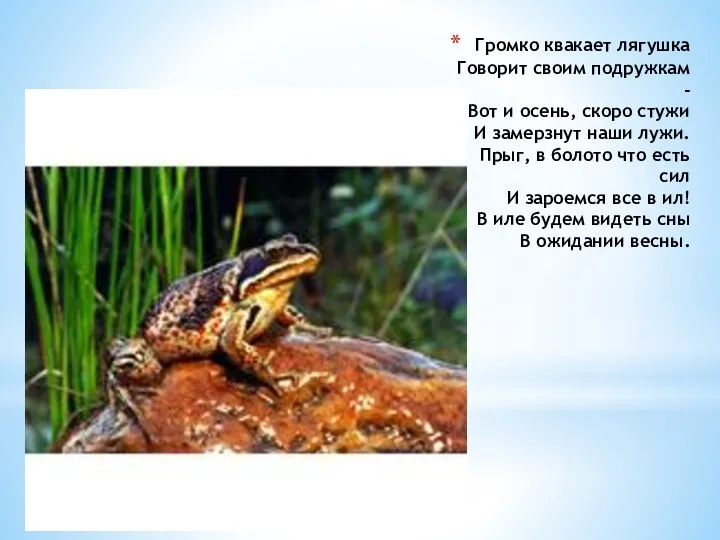 Громко квакает лягушка Говорит своим подружкам - Вот и осень, скоро стужи И