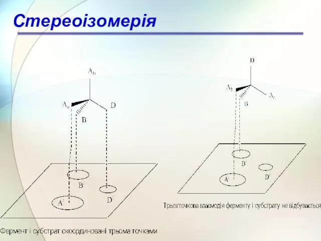 Стереоізомерія