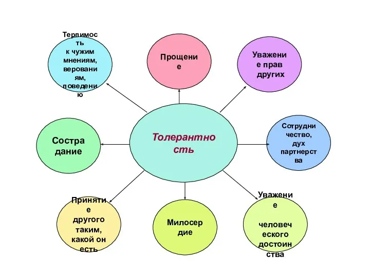 Толерантность Прощение Уважение прав других Сотрудничество, дух партнерства Уважение человеческого