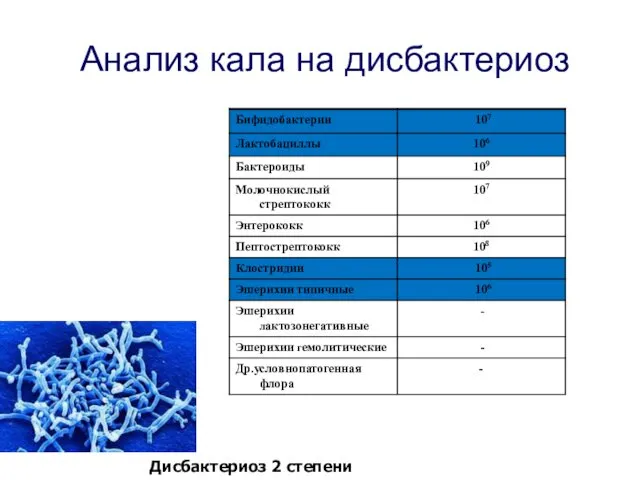 Анализ кала на дисбактериоз Дисбактериоз 2 степени