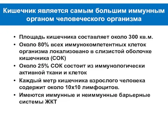 Кишечник является самым большим иммунным органом человеческого организма Площадь кишечника