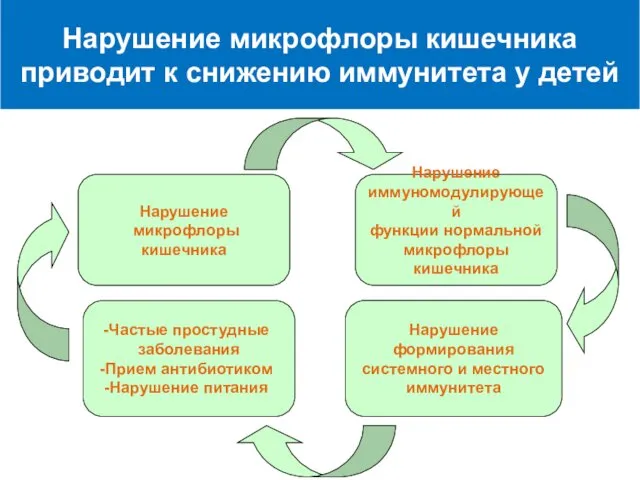 Нарушение микрофлоры кишечника приводит к снижению иммунитета у детей Нарушение