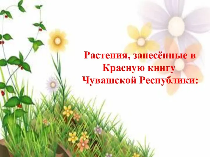 Растения, занесённые в Красную книгу Чувашской Республики: