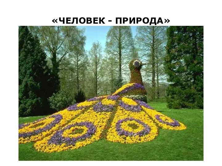 «ЧЕЛОВЕК - ПРИРОДА»