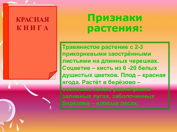 Признаки растения: Травянистое растение с 2-3 прикорневыми заострёнными листьями на длинных черешках. Соцветие