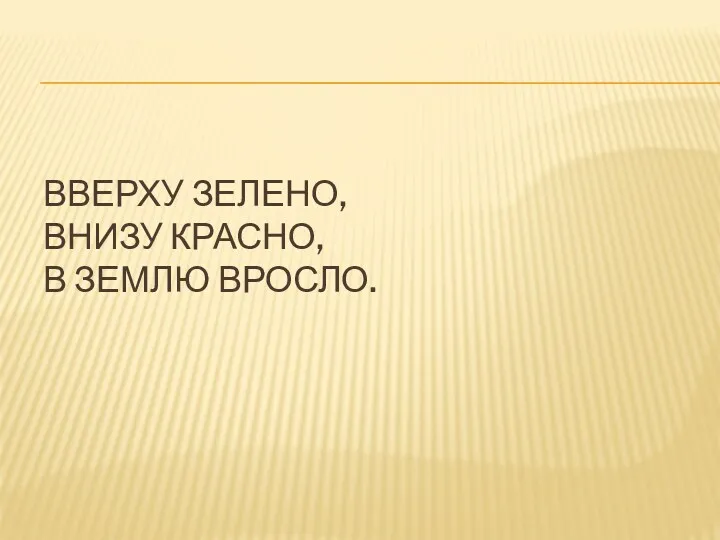 Вверху зелено, Внизу красно, В землю вросло.