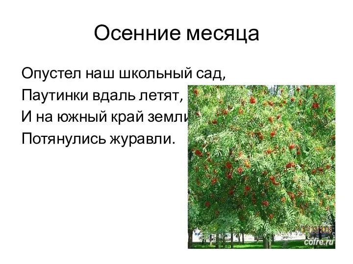 Осенние месяца Опустел наш школьный сад, Паутинки вдаль летят, И на южный край земли Потянулись журавли.